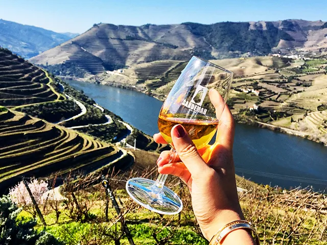 Douro Valley private tour