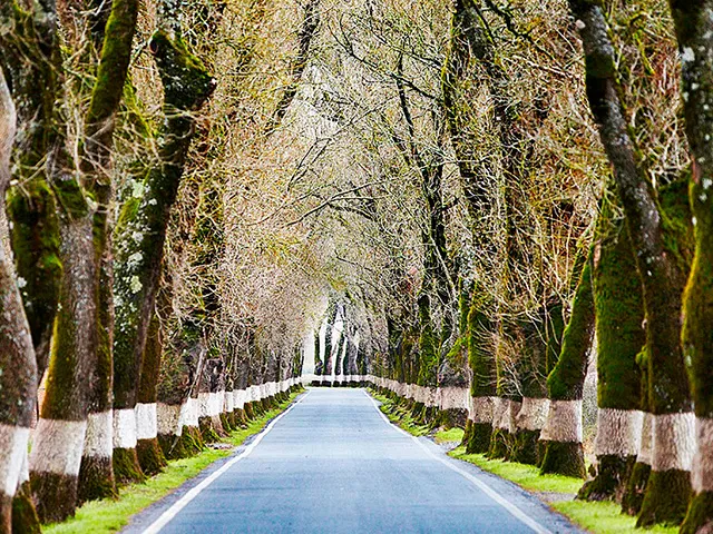 Private transfers across Portugal