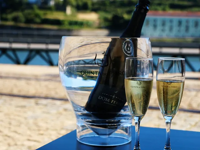 Douro Green Wine Experience